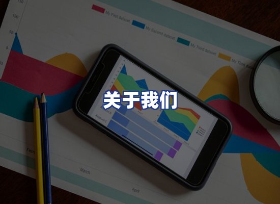 专业团队